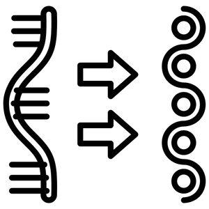 Peptide Powered